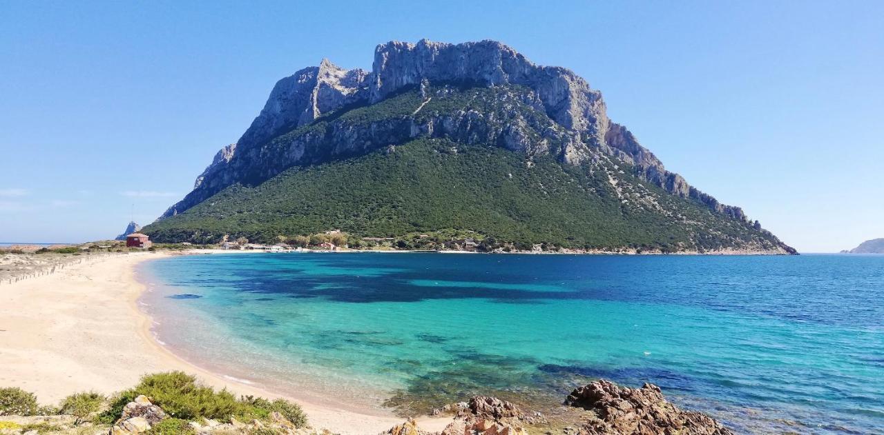 Iss Travel, La Ginestra - 2-Bedroom Apartment With Terrace And View Over Tavolara Island San Teodoro  Extérieur photo