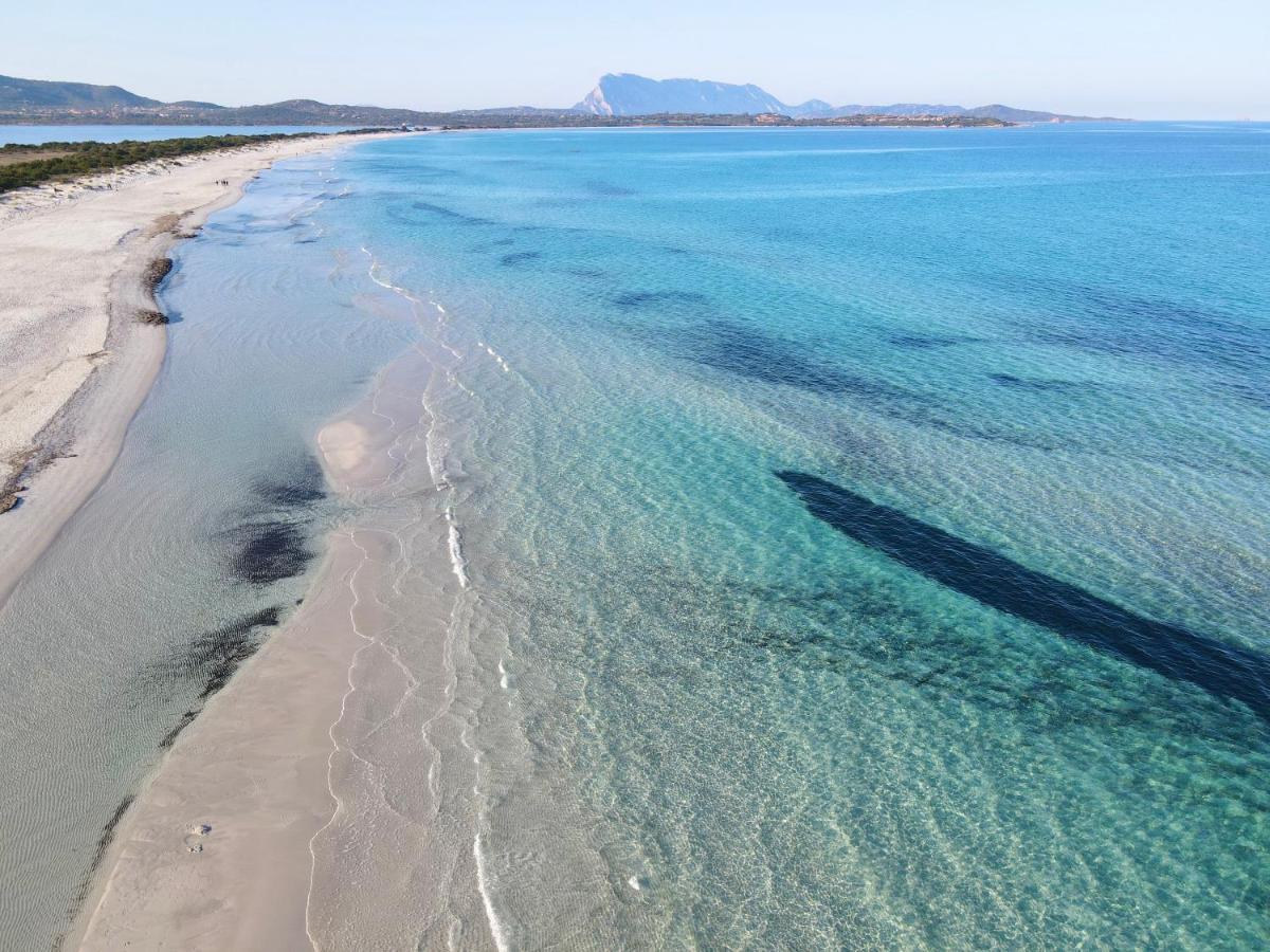 Iss Travel, La Ginestra - 2-Bedroom Apartment With Terrace And View Over Tavolara Island San Teodoro  Extérieur photo